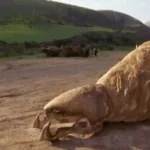 O Ataque dos Vermes Malditos – A Série: 1×11