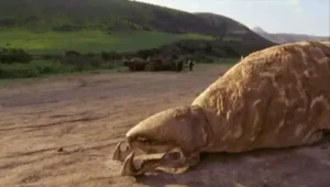 O Ataque dos Vermes Malditos – A Série: 1×11