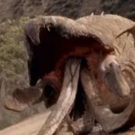 O Ataque dos Vermes Malditos – A Série: 1×9