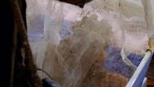 Lost: Temporada 6 – Episódio 8
