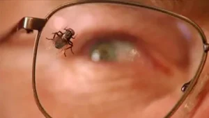 Breaking Bad: Temporada 3 – Episódio 10
