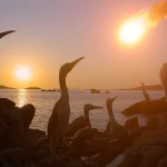Os Dinossauros: Temporada 1 – Episódio 4