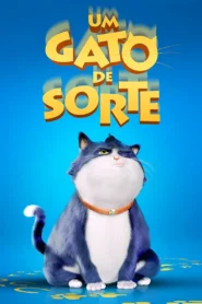 Um Gato de Sorte